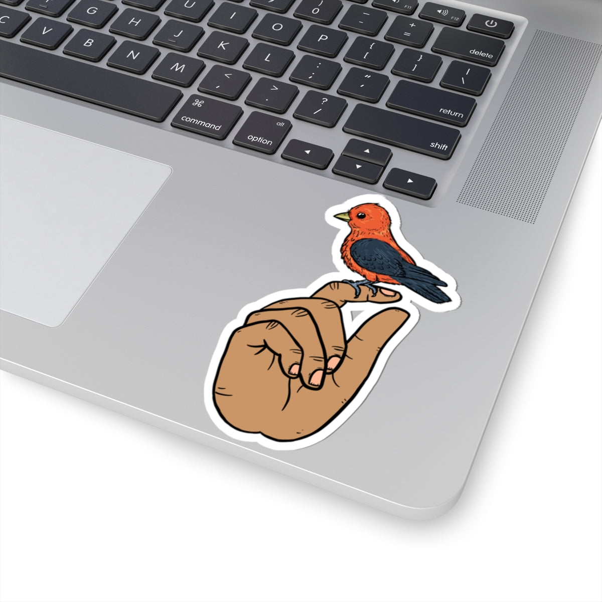 Kiss‑Cut Sticker - Look At This Bird